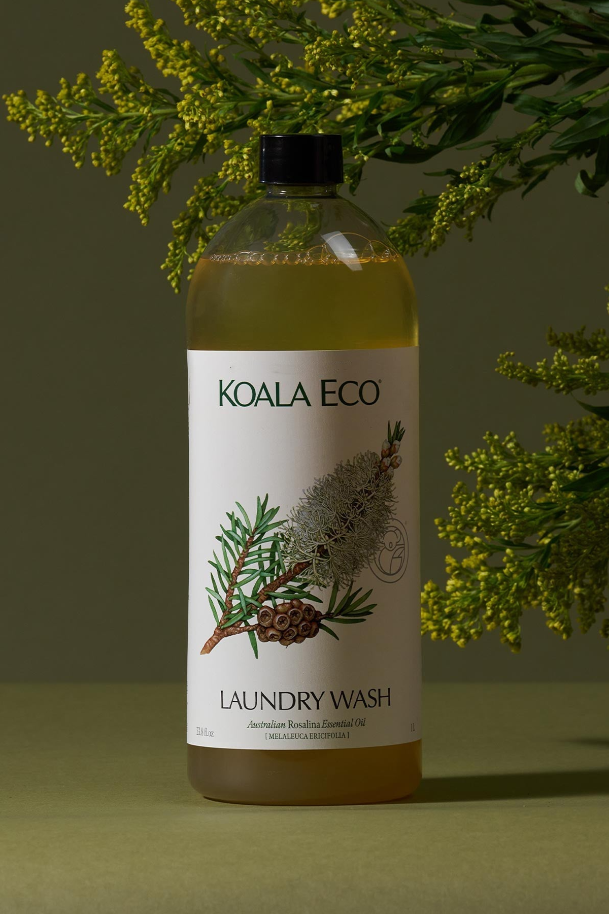 Laundry Wash