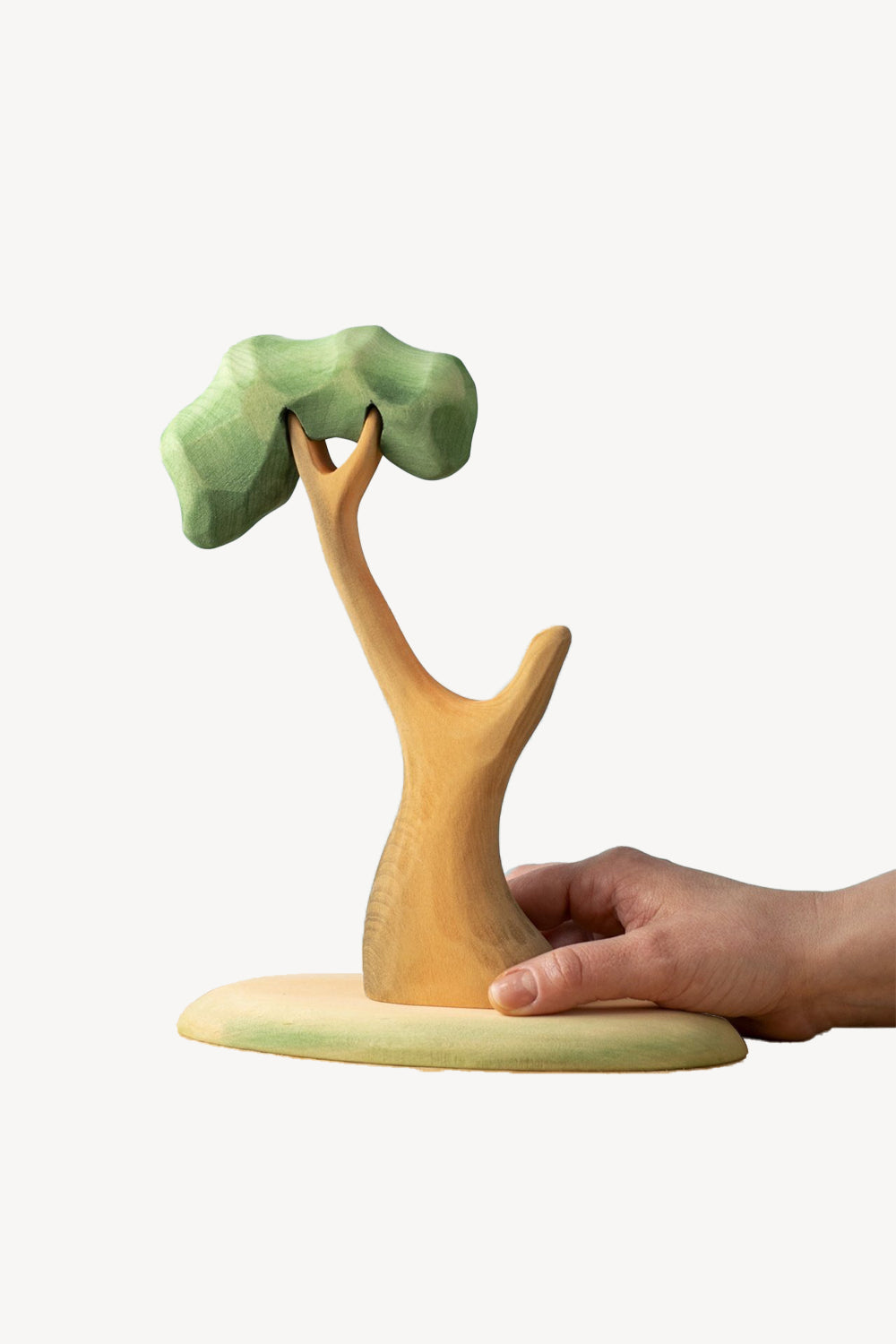 Wooden Eucalyptus Tree