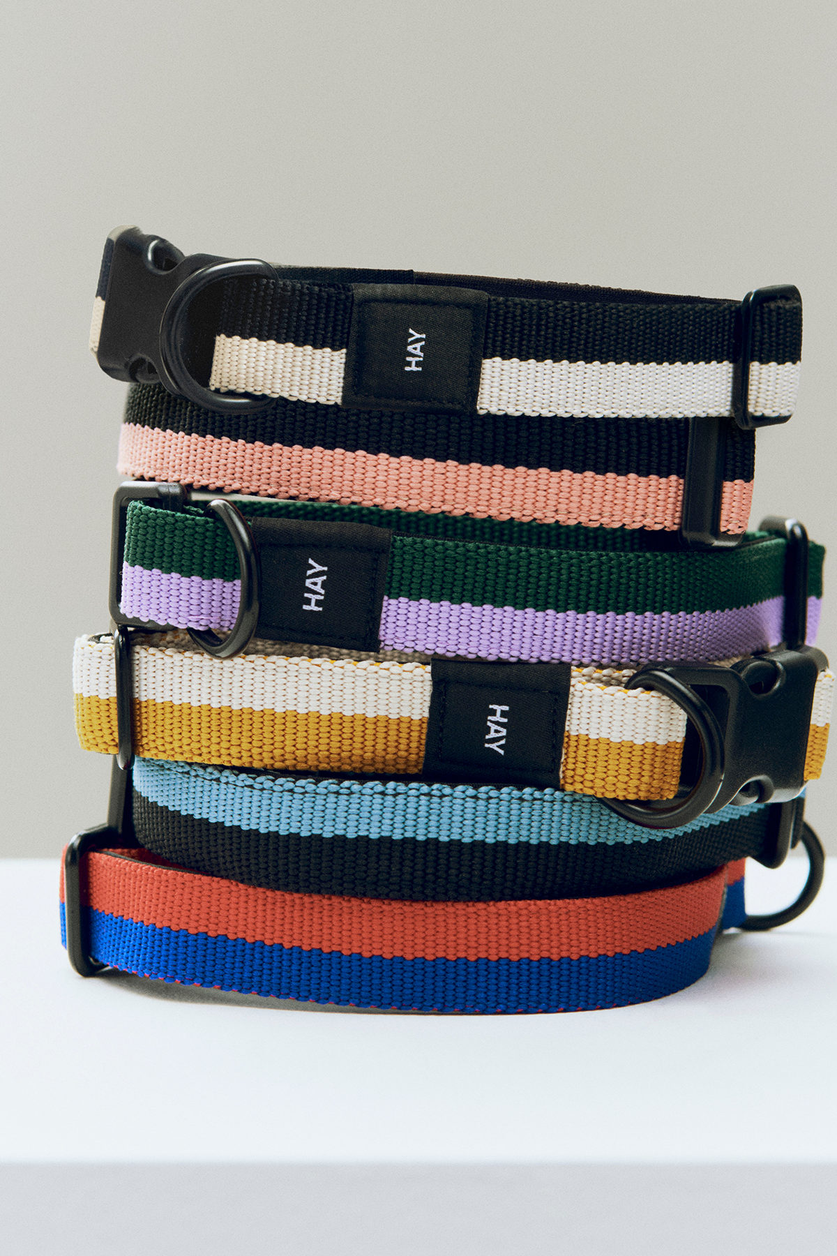 Dogs Collar in Blue & Black— Medium/Large