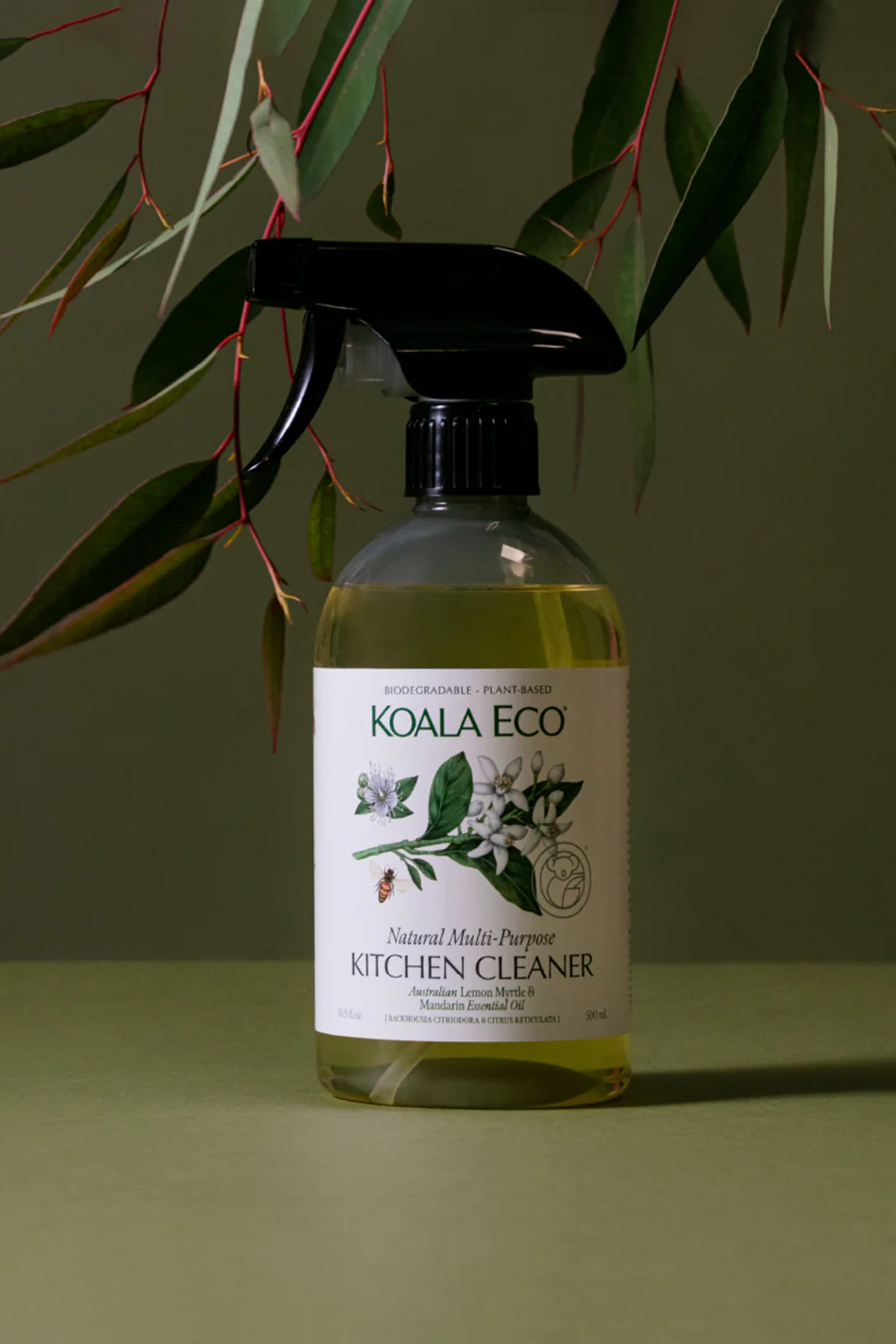 Multi Purpose Kitchen Cleaner