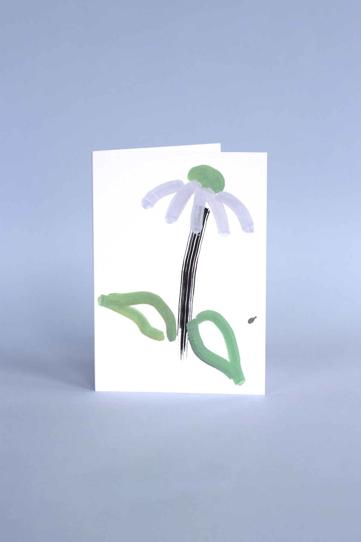 Echinacea Greeting Card