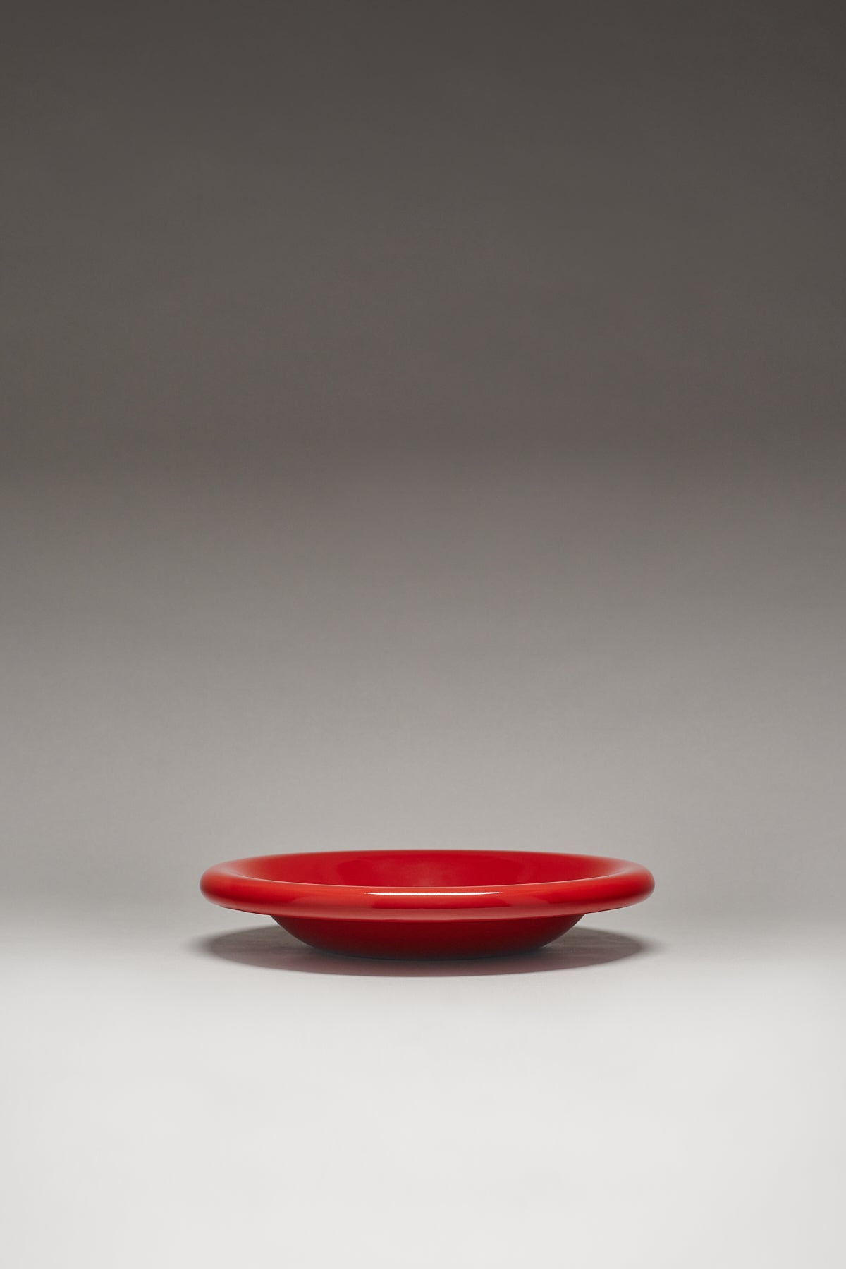 Dinner Dish in Tomato
