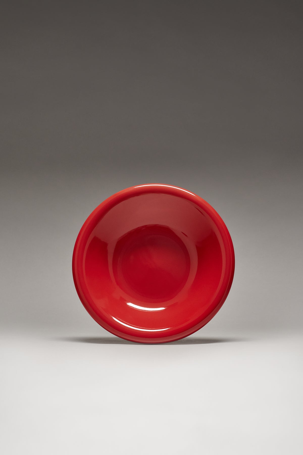 Dinner Dish in Tomato
