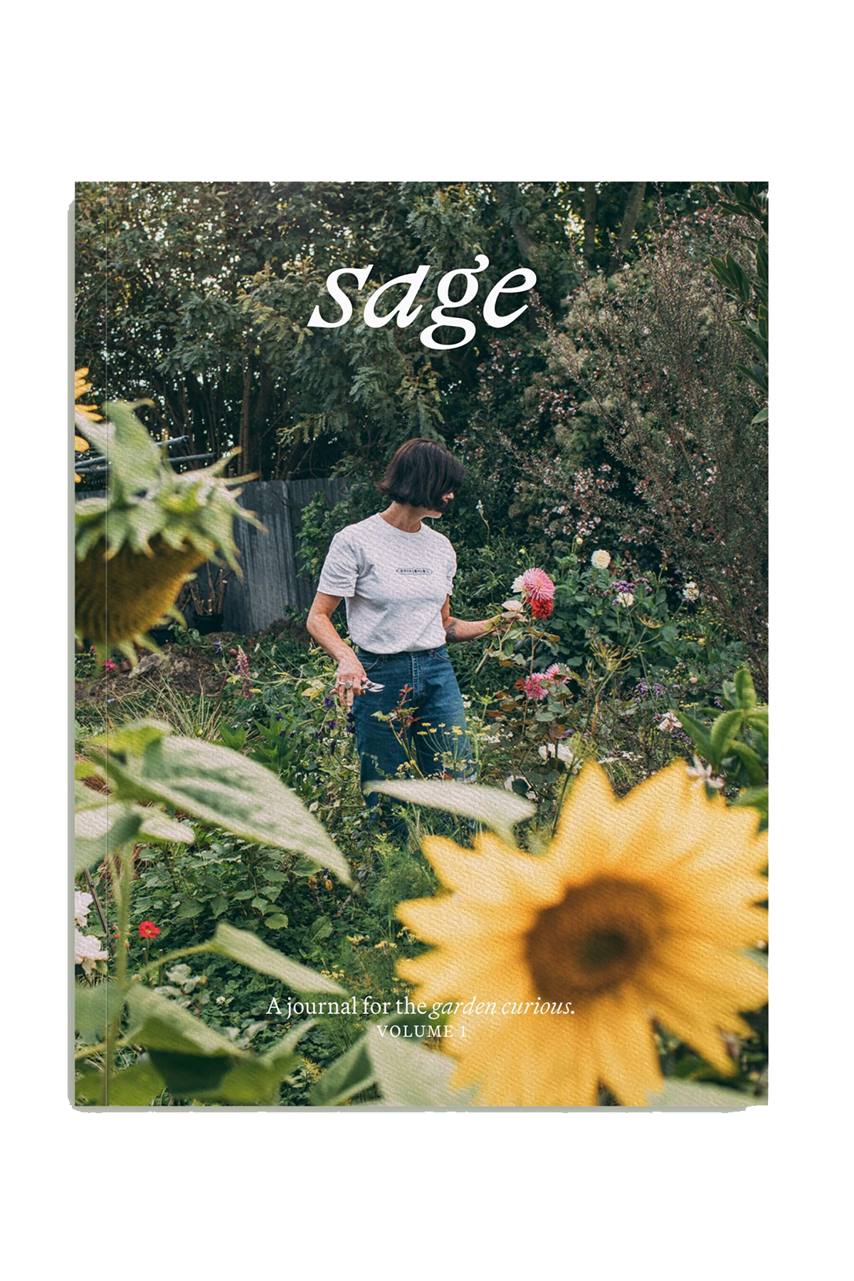 Sage Journal