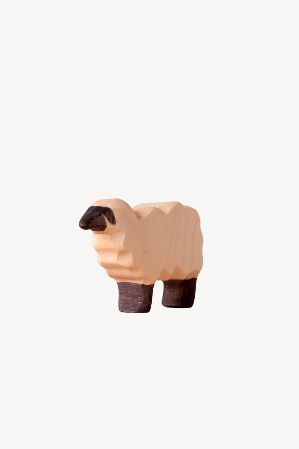 Wooden Sheep
