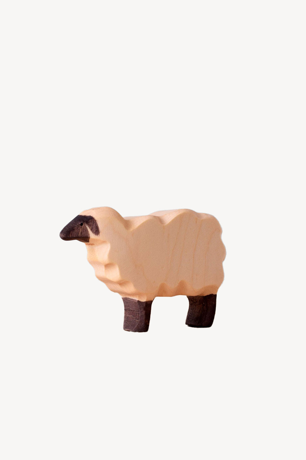 Wooden Sheep