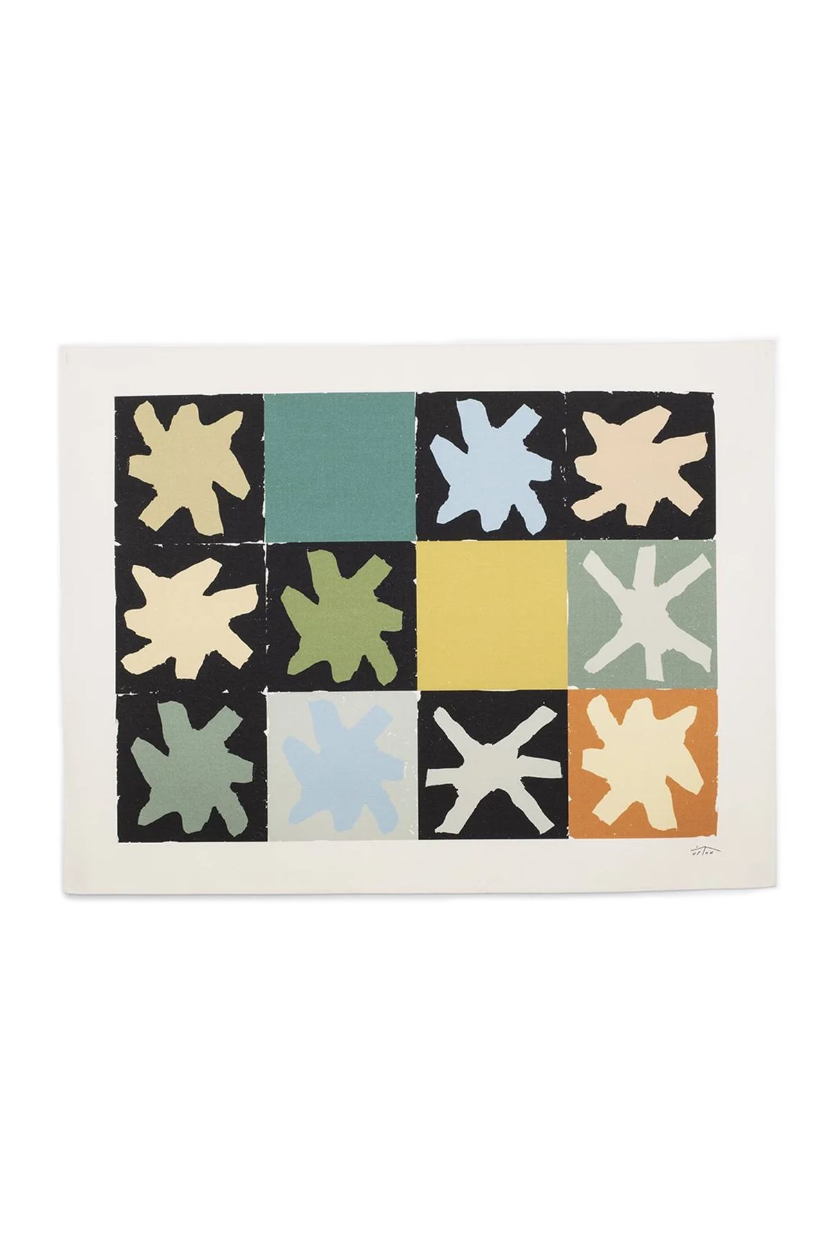 ASTERISM Canvas Print