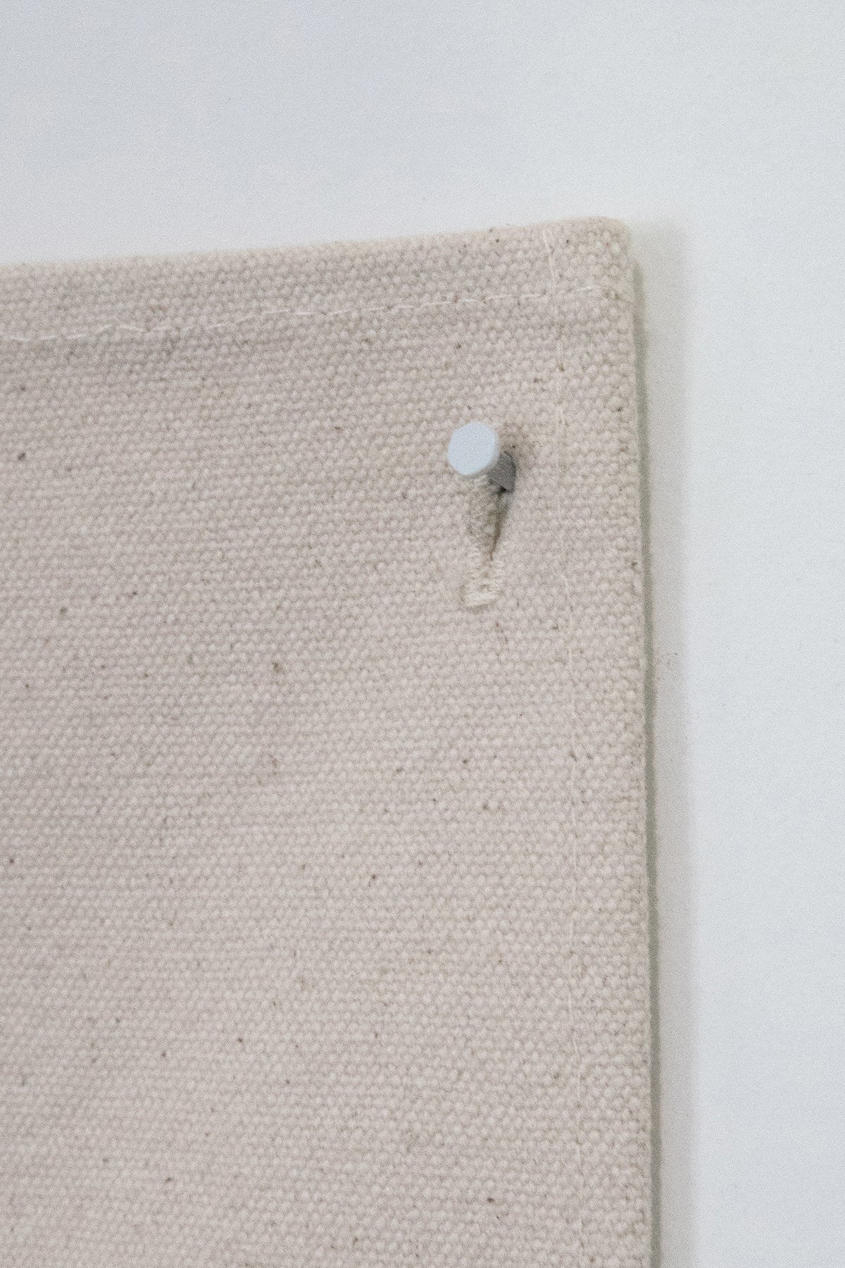 VELA Canvas Print