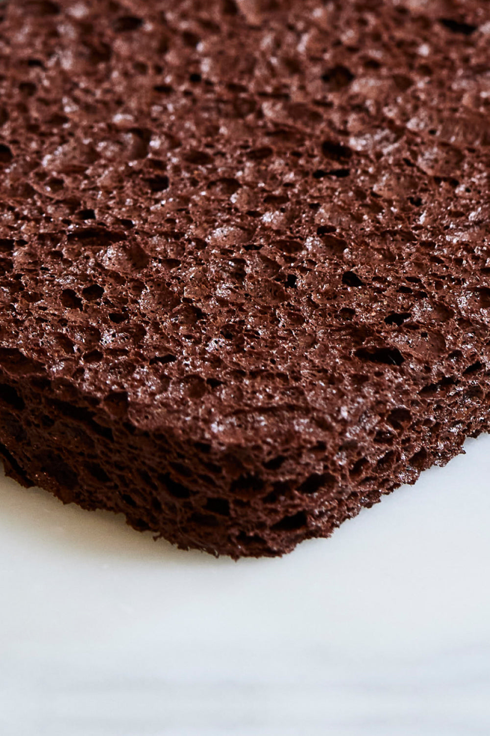 Sponge (3 Pack)